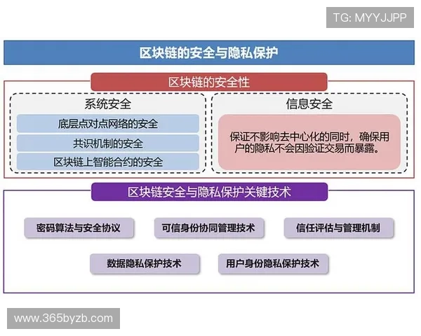 365电子平台在电子数据安全与数据隐私保护中的应用实践与技术保障