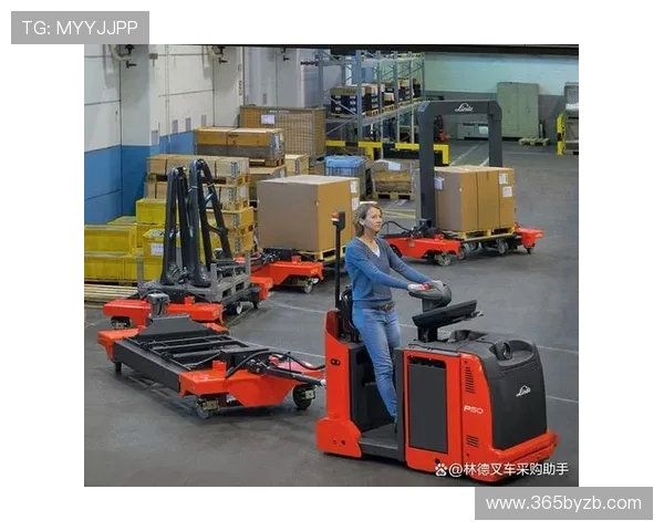 3365速发国际物流服务保障客户快速高效的货物运输体验