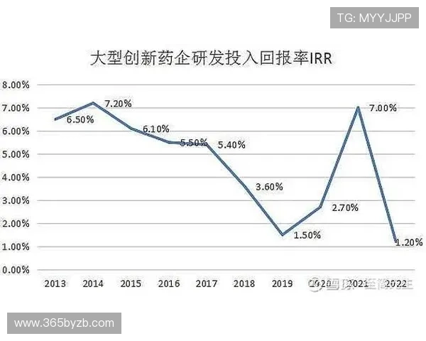 深入了解365日博数字站的运营模式，提升您的投资回报率与风险控制能力