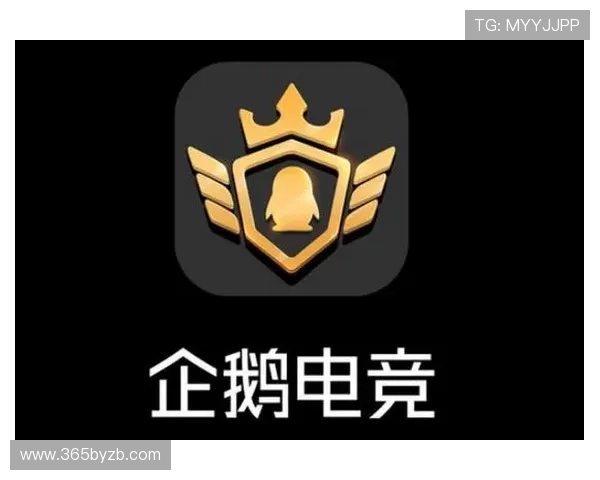 U体育电竞平台深度评测：优质赛事资源与用户体验优化策略